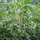 장곡자연휴양림 이미지