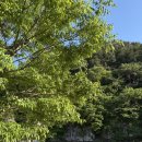 피크닉마트 | 경남 창원 노지 마산 진전 용댐계곡 피크닉 후기(+화장실, 주차 팁)