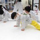 MTA 힘찬태권도 이미지