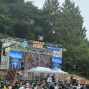 케이비골드 | 캐리비안베이 할인 메가스톰 오픈런 풀파티