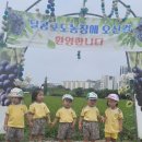 달콩농장 포도따기 체험다녀왔어요~^ 🍇 이미지