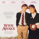 와이드어웨이크(wide-awake)