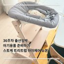 스토케 트리트랩 하이체어 뉴본 내돈내산 구매후기 (화이트워시, 그레이, 조립 및 설치, 가격)