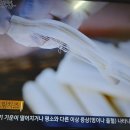 성일목장 이미지