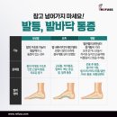 레푸스 범어점 이미지