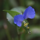 입는기쁨 이미지