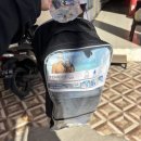 섬내공원 화장실 | 세계3대 다이빙의 성지 부나켄국립공원&amp;실라덴 섬 투어 자세한 후기 🤿 (꿀팁+현지 가이드 인스타 포함)