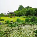 장자호수공원 이미지