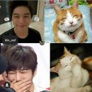 오늘스마일
