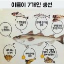 생선이야기 이미지