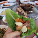돈사촌외도점