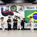 한상기 주짓수 이미지