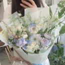 블루밍라니 네이버블로그