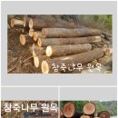 참죽나무(가죽)원목 판재와 피죽 이미지