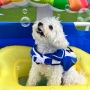 털로덮인친구들 수원시청역점 이미지