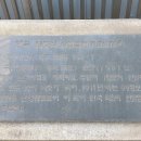 천일울타리