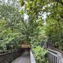 숲속광장 화장실(배봉산) 이미지