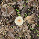 서울특별시 아리수본부 | 아리수 플로깅 행사 후기!