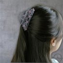 다원 이미지