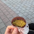 오천년코다리 | ~ 아가리 다이어터의 먹고 토스 공부하는 3월 일상 ~