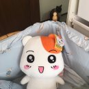 귀여운 에비츄 인형 (35cm) 팝니다 이미지