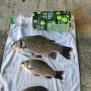 감곡낚시터 이미지