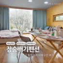 해미농장 | 서울 근교 촌캉스 천안 숙소 추천 장승배기 체험농장 (내돈내산)
