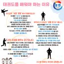 용인대 성민 태권도(반곡관) 이미지