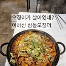 문정초등학교 | 대전 둔산동 밥집, 오징어가 살아있다 이하선 삼동오징어