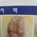 현대항분하지외과의원 이미지