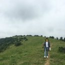 연정다방 이미지