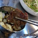 장수갈매기 이미지