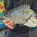 여수가족생활낚시터 이미지