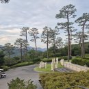 렉스사우나 이미지