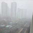 별비 모터스 이미지