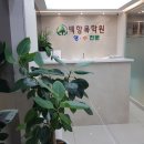 백향목교육