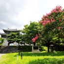 동촌유원지 이미지