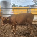 농가월령 이미지