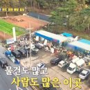 고사랑경매장