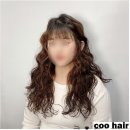 더이쁜머리 - 춘천시 | 더이쁜머리