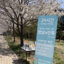 멍냥의민족인천