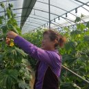 지혜농장 이미지