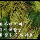 운수리111-4 이미지