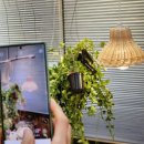 라탄 전등갓 짜기 이미지