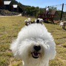 눈보뛰 프리미엄 이미지