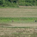 일선농장 이미지