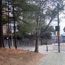 대광사.구미중학교 이미지