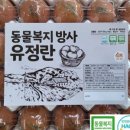 우리팜스 이미지