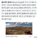 희망의 이유 1(1~120) 제인 구달