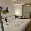 우리 동네 나들이 다같이 줍깅 | 추억의 장소들 재방문_광화문/명동/을지로 나들이